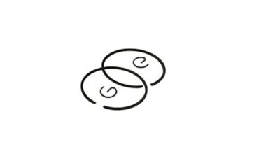 Samnantools 52 cc Brush cutter Cylinder piston ring 52cc-2 pcs Rings only