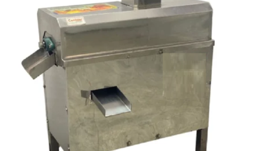 Efficient 200 KG Mango Pulp Machine for Smooth Processing