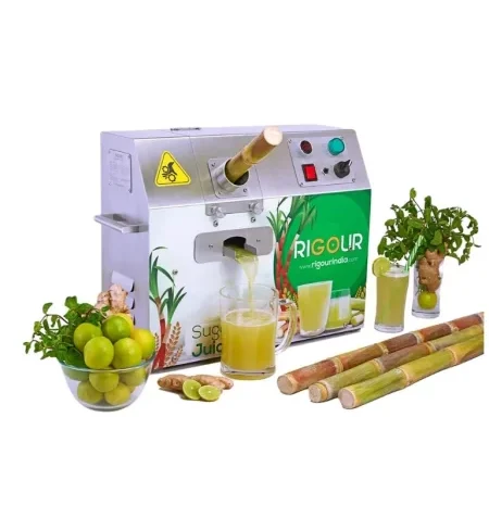 S. S. Sugarcane Machine - Efficient 1 HP Regular Body Sugarcane Extractor