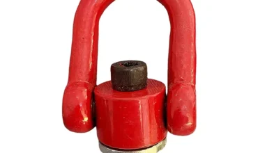 Swivel Eye Bolt (Hoist Ring) - M10; SWL - 700 Kgs