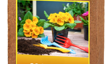 GreenEarth Cocopeat for Plants (5kg) | Expands Upto 75 litres of Powder | Garden Soil | Organic Bricks for Plants